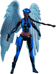 Dc Comics - Dc Hawkgirl Figure Png