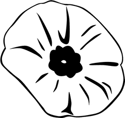 Black Outline Drawing Flower White Cartoon - Public Silhouette Of A Poppy Png