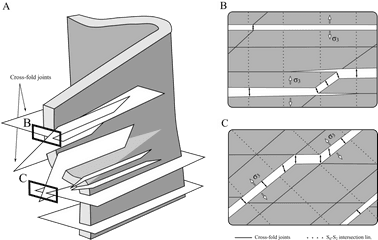 Schematic Figure Illustrating The Relationship Between Fold - Relationship Veins With Folds Png