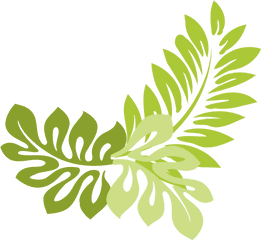Jungle Png Clipart - Transparent Jungle Leaves Clipart