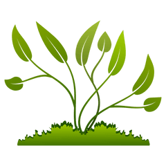 Download Hd Flowers Vectors Clipart - Plants Clipart Png