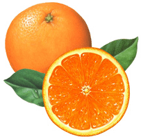 Half Orange Free HQ Image - Free PNG