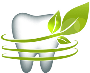 Olive Branch Dental Care - Single Teeth Image Png