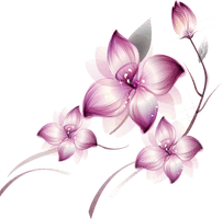 Flowers Png