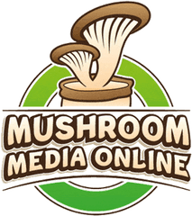 Mushroom Media Online - Clip Art Png