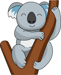 Koala Png - Koala Clipart Page