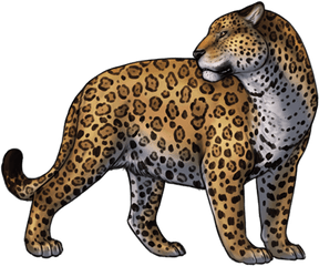 Jaguar Png Clipart - Yayoi Kusama