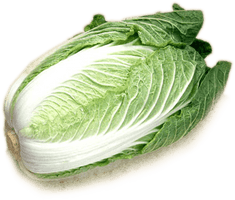 Cabbage Png Image