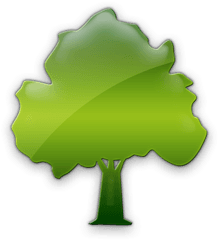 Green - Tree Png