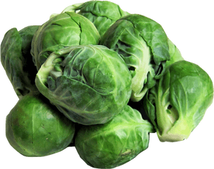 Download Brussels Sprouts Png Image For Free - Brussels Sprouts Clipart Png