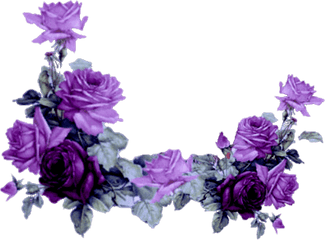 Mq Purple Roses Rose Border Borders - Purple Rose Flower Border Png