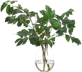 22 Olive Branch In Teardrop Vase Faux - Vase With Green Branches Png