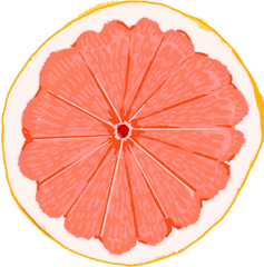 Free Online Grapefruit Orange Fruit Food Vector For - Cafedirect Png