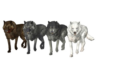 Download Wolf Pack Free Png Image - Wolf Pack Png