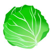 Cabbage Clip Art - Free PNG