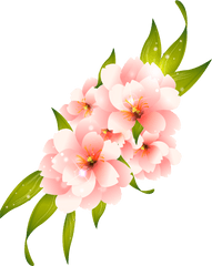 Download Pink Flower Vector Png - Psd Flower Vector Png