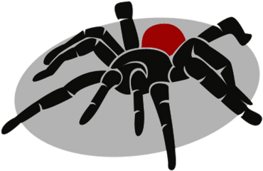 Tarantula - Spider Png