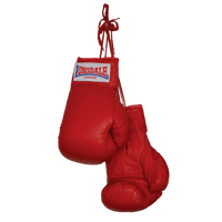 Boxing Gloves Clipart - Free PNG