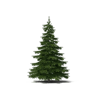 Small Fir-Tree Christmas Free Clipart HD - Free PNG