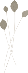Bamboo Stick With Silk Leaves Kit Png