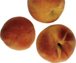 Peach Png Image - Portable Network Graphics