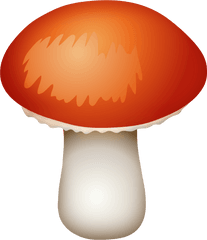 Mushroom Clipart Png Fungi