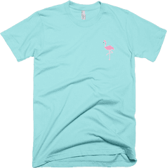 Flamingo Logo - Flamingo Logo On T Shirt Png