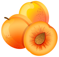 Apricot Fruit Free Download Image - Free PNG