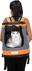 Ranger Cat Backpack U2014 Catexplorer Png Back Pack