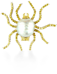 Spider Brooch - Animalier Official Buccellati Website Gold Spider Transparent Png