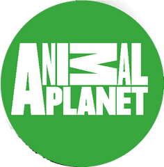 Animal Planet Logo - Animal Planet Png