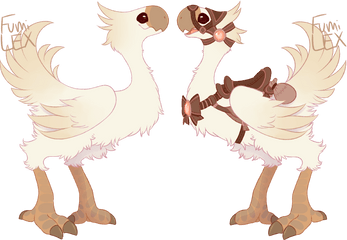 Sugar The Chocobo - Chocobo Oc Full Size Png Download Chocobo Oc