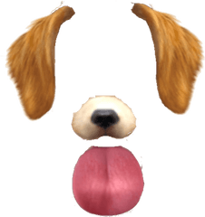 Download Hd Snow Dog Filter Png - Effet Snapchat Png