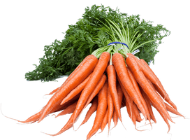 Carrot Free Download Png