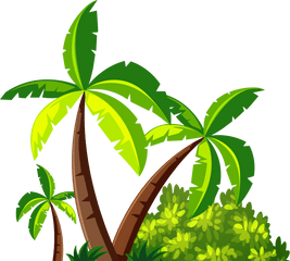 Coconut Tree Leaf Png Images Collection Palm Leaves