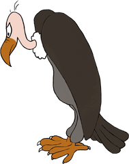 Bird Clip Art - Vulture Clipart Png