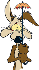 Wile E - Looney Tunes Vil Coyote Png