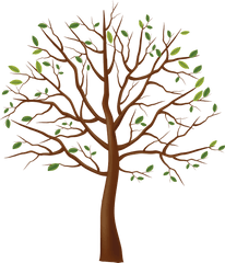 Tree - Dry Tree Png Hd