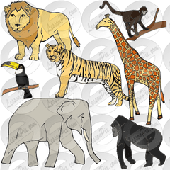 Jungle Animals Picture For Classroom - Illustration Png