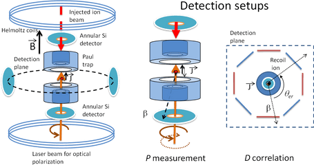 The Mora Project - Diagram Png