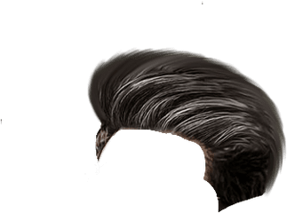 50 New Cb Hair Png Download Hd - Lace Wig