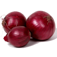 Red Onion - Free PNG