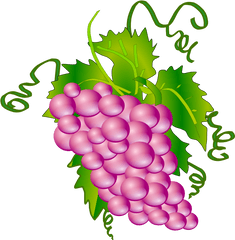 Grape Png Clip Arts For Web - Pink Grapes Clipart