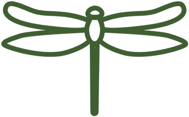 Transparent Png Svg Vector File - Dragonflies And Damseflies