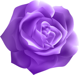 Dark Purple Roses - Dark Purple Purple Rose Png