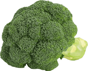 Brocoli Sur Fond Transparent - Broccoli Png