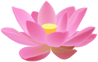 Pink Lotus Flower Download Free Image - Free PNG