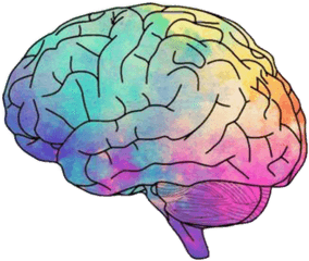 Transparent Clipart Brain Png - Clipart Transparent Background Brain