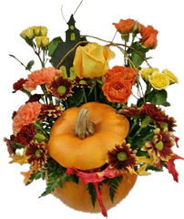 Halloween Pumpkin - Garden Roses Png