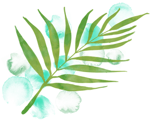 Watercolour Leaf Watercolor - Watercolor Painting Png